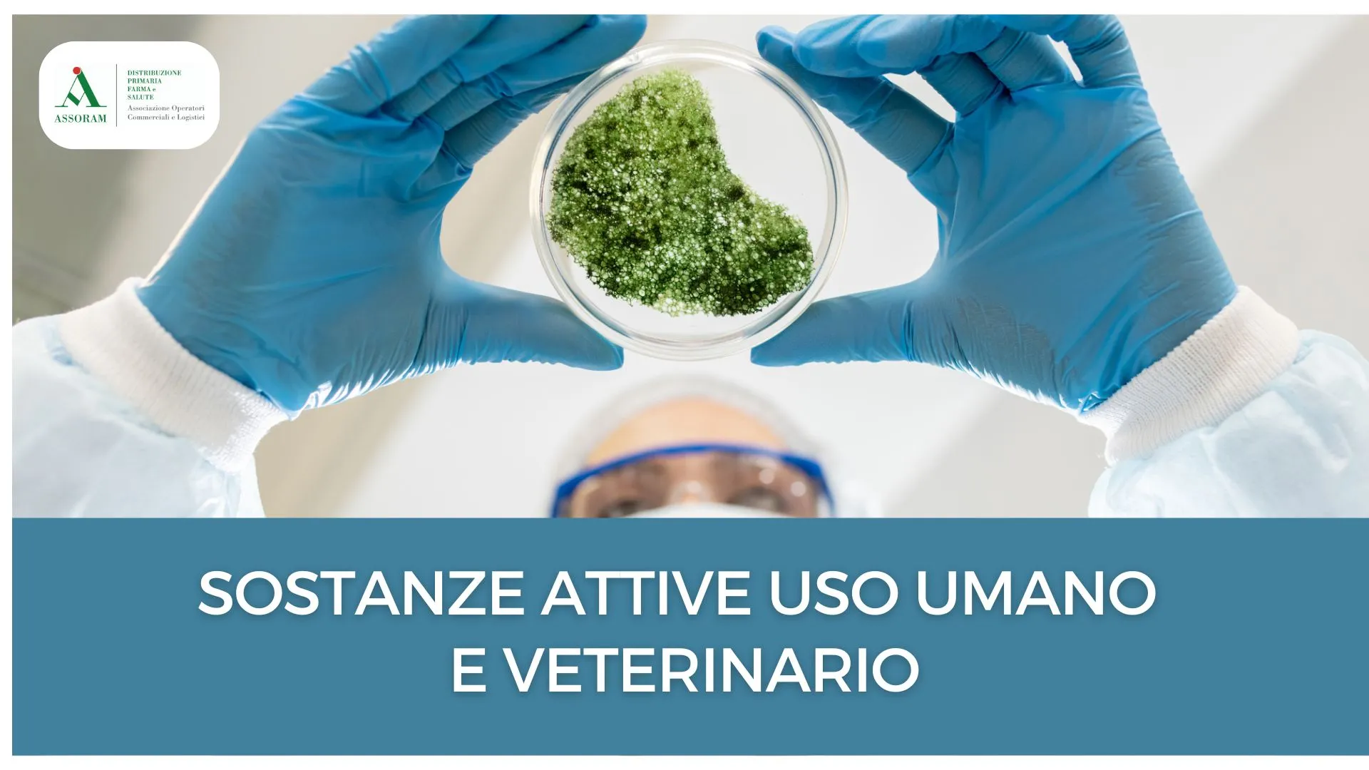 Scopri di più sull'articolo Focus 05 – 2024: Sostanze attive a uso umano e veterinario